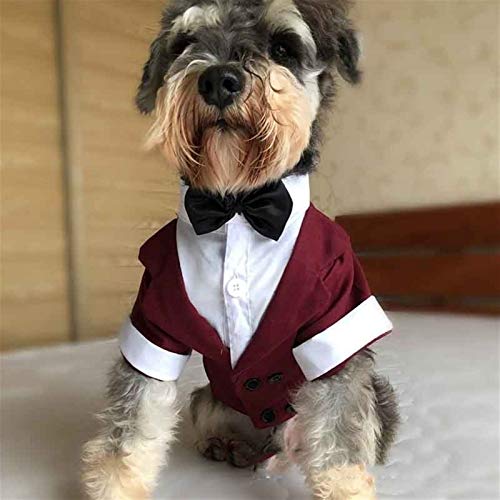 Homeilteds Traje Perro Tuxedo For La Ropa Ropa Grande De La Chaqueta For La Capa del Traje De Smoking del Perro Perros Grandes Rayas Ropa For Mascotas Ropa Soft (Color : B, Size : L-L)