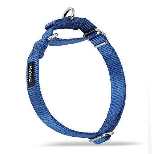 Hyhug Premium actualizado Cuello de Perro Martingale antivaho de Nylon Resistente para Perros Grandes, pequeños, medianos, pequeños y pequeños (Grande L, Azul clásico)