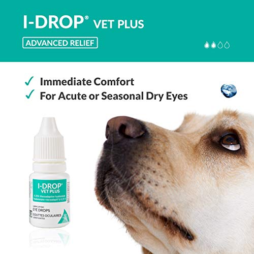 I Drop Vet Plus Eye Lubricant - Multidose Bottle - 10 Ml. by I-Med Pharma