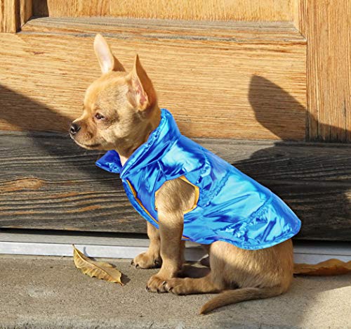 Idepet Perro Cachorro Abrigo de Invierno Mascota Gato Lindo Traje cálido Chaleco Ropa Ropa Perrito Clima frío Chaqueta con Capucha para Chihuahua Teddy Poodles Pomeranian