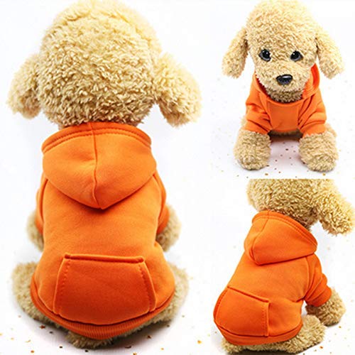 Idepet Perro Gato Sudadera con Capucha Mascota Cálido Abrigo de Invierno Ropa de algodón para Perros con Bolsillo Exterior para Perros pequeños