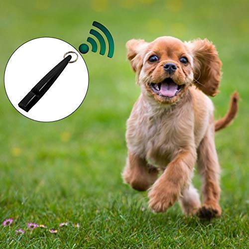 IKAAR Silbato para perros, silbato de perro ultrasónico silbatos para recordar con cordón