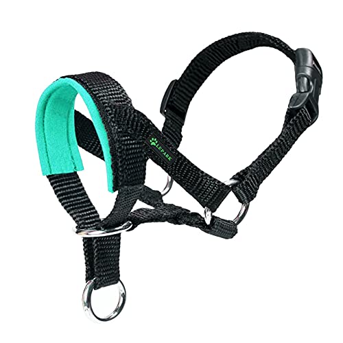 ILEPARK Cuello De Cabeza para Perros con Tela Acolchada, Cabestro de Cabeza para Perros, Regolabile Herramienta de Entrenamiento (M,Verde)