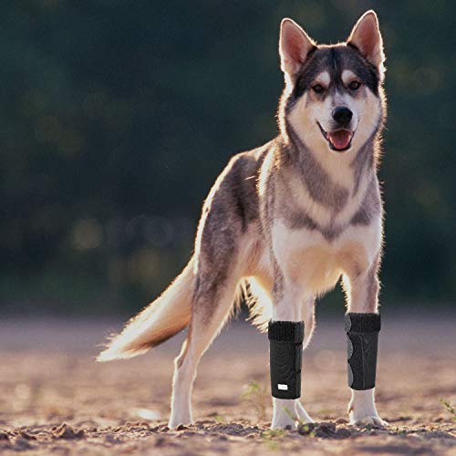 IN HAND Par de correas de compresión para patas de perro, con tiras de metal y correas reflectantes de seguridad, protege heridas, cura y evita lesiones y esguinces