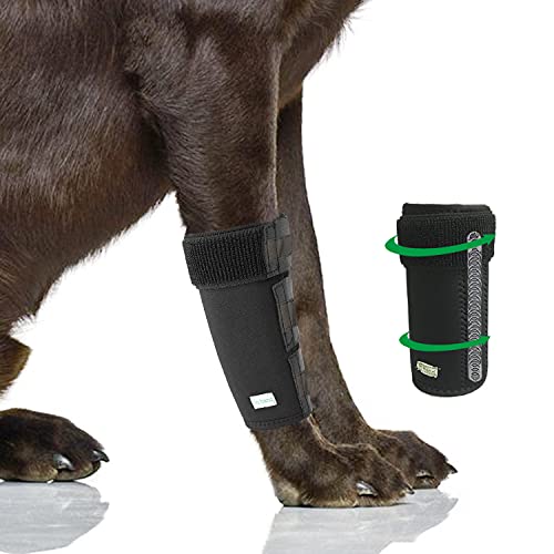 IN HAND Par de correas de compresión para patas de perro, con tiras de metal y correas reflectantes de seguridad, protege heridas, cura y evita lesiones y esguinces