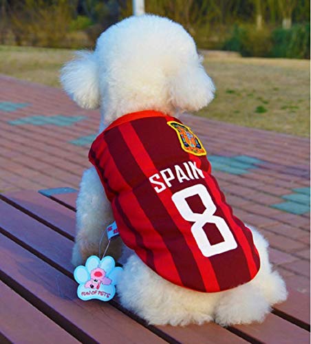 Inception Pro Infinite Traje de Equipo de fútbol - microbista - ultrà - españa - Perro (m)