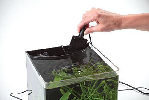 Interpet Delta Mini Nano - Calentador de pecera para Acuario (15 W, para pequeños acuarios Tropicales hasta 20 L)