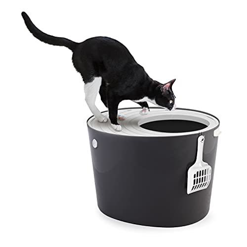 Iris Ohyama, Bandeja de arena para gatos con tapa ranurada, sin olores ni derrames de basura, entrada grande L26.7 x W22.9 cm, cuchara incluida, para gato - Cat Litter Box Jump-in PUNT-530 - Gris