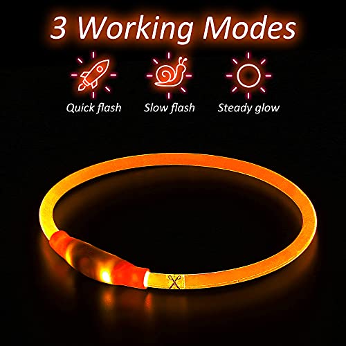 iTayga Collar Luminoso LED Perro Recarable Collares Luminosos para Perros 5 Colores Haga Que su Perro Sea Muy Visible en la Oscuridad, Collar con Luz Perro Pequeño,Mediano,Grande. Naranja