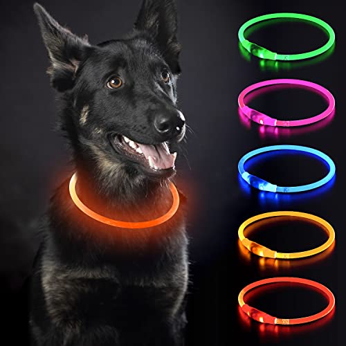 iTayga Collar Luminoso LED Perro Recarable Collares Luminosos para Perros 5 Colores Haga Que su Perro Sea Muy Visible en la Oscuridad, Collar con Luz Perro Pequeño,Mediano,Grande. Naranja