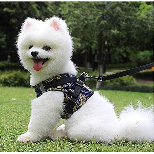 IUOU Arnés de Chaleco para Perro con patrón de dragón Chino con Correa, Conjunto Personalizado, Collar para Caminar para Mascotas, algodón Puro para Cachorros, Perros pequeños y medianos