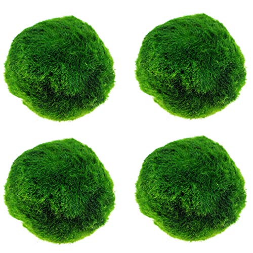 IYSHOUGONG 4 piezas acuario musgo natural verde musgo bola decorativa maceta bolas musgo terrario acuario jardín musgo decoración