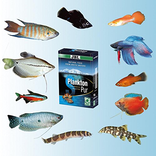 JBL GOLOSINA para Grande Peces de Acuario, 8 Sticks, planktonpur - 8 Sticks a 2g