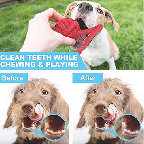 JEBBLAS Puppy Dog Chew Toys Teething Training，10pcs Dog Rope Toys 100% Natural Cotton Rope for Small and Medium Dog