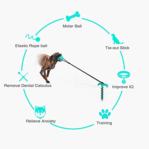 JFF Estaca Y Cable De Amarre para Perros - Estaca para Patio De Perro con Hoja En Espiral para Suelo Suelto O Arenoso - Ideal para Césped De Playa En Patio Exterior