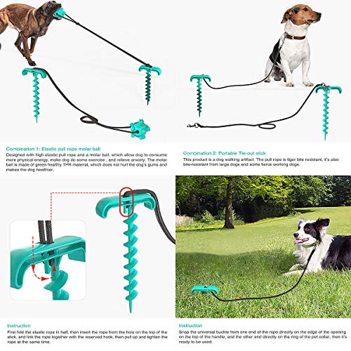 JFF Estaca Y Cable De Amarre para Perros - Estaca para Patio De Perro con Hoja En Espiral para Suelo Suelto O Arenoso - Ideal para Césped De Playa En Patio Exterior