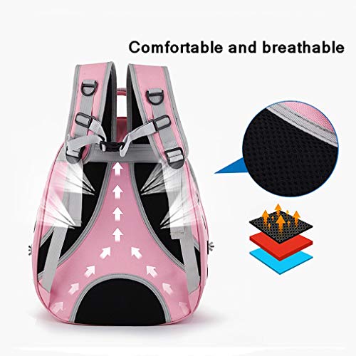 JINLIAN205-SHOP jaulas para pajaros Pet Carrier Mochila, Ave Perro Portador del Gato Mochila del Hombro, Innovador Espacio de visión panorámica portátil Cápsula Mascota Jaula periquitos (Color : C)