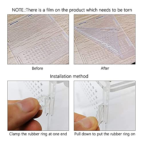 Jooheli Caja de Alimentación de Insectos, Terrarios para Reptiles con Interruptor Magnético, Acrílico Transparente Estuche de Cría para Araña, Lagarto, Rana, Reptiles (20x12x12cm)