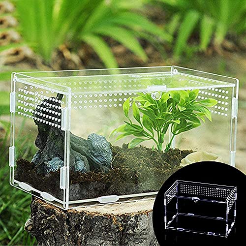 Jooheli Caja de Alimentación de Insectos, Terrarios para Reptiles con Interruptor Magnético, Acrílico Transparente Estuche de Cría para Araña, Lagarto, Rana, Reptiles (20x12x12cm)