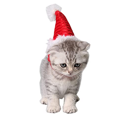 Jorzer Sombrero De Perro, Navidad Sombrero Mascota Perro Traje Gato Sombrero Sombrero Guinea Cerdito Traje Accesorios para El Cabello para Animales Pequeños