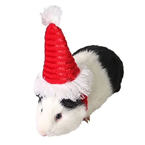 Jorzer Sombrero De Perro, Navidad Sombrero Mascota Perro Traje Gato Sombrero Sombrero Guinea Cerdito Traje Accesorios para El Cabello para Animales Pequeños