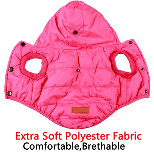 JoyDaog - Sudadera con capucha para perro con forro polar cálido en invierno, chaqueta con capucha para perros pequeños, color rosa, talla M