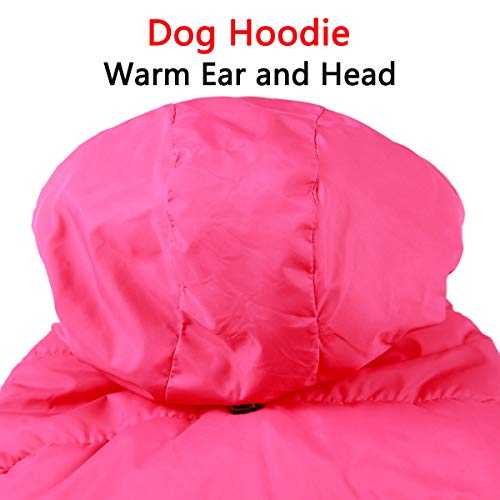 JoyDaog - Sudadera con capucha para perro con forro polar cálido en invierno, chaqueta con capucha para perros pequeños, color rosa, talla M