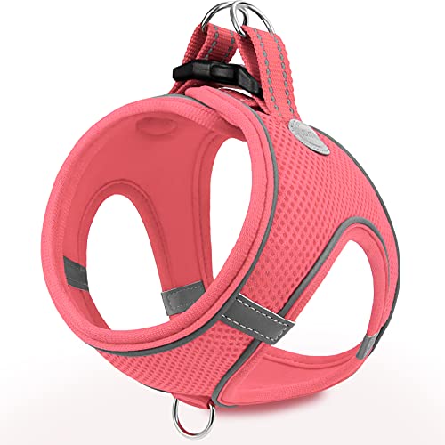 Joytale Arnes Perro, Reflectante Cómodo Transpirable Arnés, Perros Arneses Chaleco para Gato y Cachorros Perro, Rosa, XL