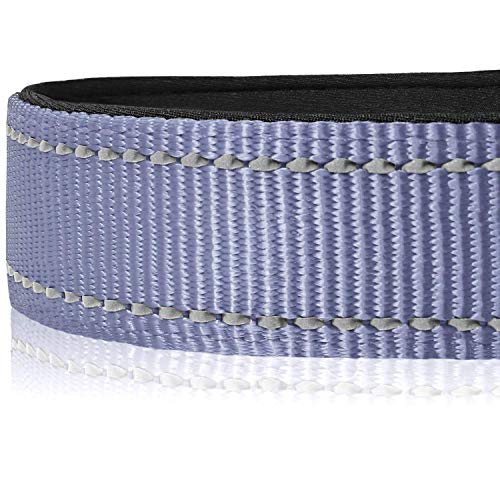 Joytale Collar Perro Reflectante,Nylon Collar Acolchado con Neopreno,Ajustable para Perros Grande,40-60cm,Gris