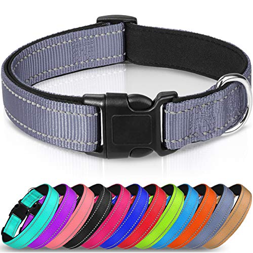 Joytale Collar Perro Reflectante,Nylon Collar Acolchado con Neopreno,Ajustable para Perros Grande,40-60cm,Gris