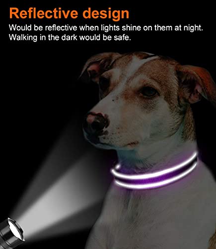 Joytale Collar Perro Reflectante,Nylon Collar Acolchado con Neopreno,Ajustable para Perros Grande,40-60cm,Morado