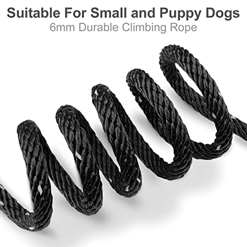 Joytale Correa de Adiestramiento para Perros, 10M Correas Largas con Asa Acolchada y Dos Mosquetones para Perros Pequeños y Cachorros, Negro