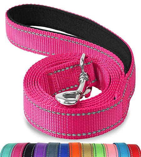 Joytale Correa para Perros Reflectante, Correa para Perros con Mango Acolchado, Correa de Adiestramiento para Perros Pequeños y Perrito, 180×2cm, Rosa Caliente