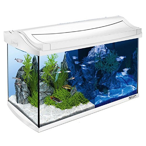 Juego completo de acuario para pecera, 60 L, color blanco