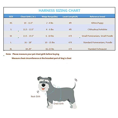 Juego de arnés y correa de malla suave para gatos y gatos, a prueba de escape, totalmente ajustable, arnés y correas con asa para animales pequeños cachorros/gatos (pequeño, gris)