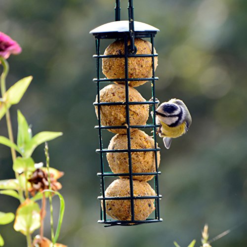 Juego de pienso para pájaros con 2 comederos llenos, Cada uno Incluye 2 Bolas de pienso y Semillas de Girasol.