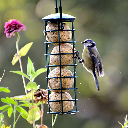 Juego de pienso para pájaros con 2 comederos llenos, Cada uno Incluye 2 Bolas de pienso y Semillas de Girasol.