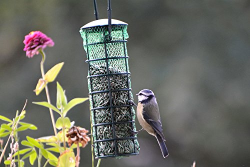 Juego de pienso para pájaros con 2 comederos llenos, Cada uno Incluye 2 Bolas de pienso y Semillas de Girasol.