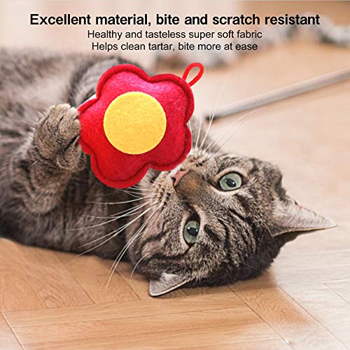 Juguete interactivo para gatos de gato, juego de 6 unidades, juguete para masticar con gato y fruta con catnip gatito rascado jugando entretenido, juguete de limpieza de dientes