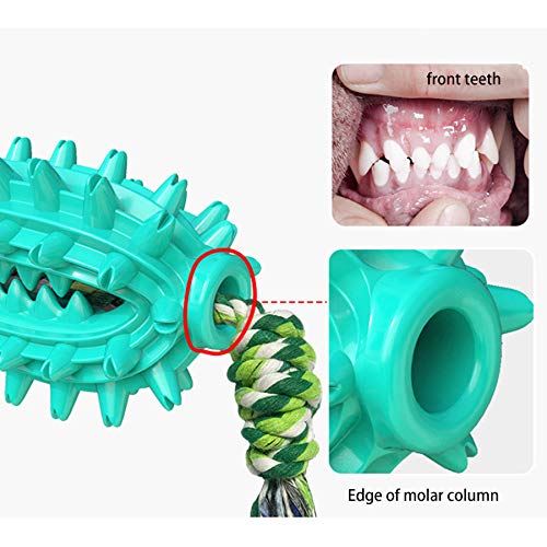 Juguete Molar para Mascotas Multifuncional,Juguete mordedor para Mascotas,Juguete para Perros con Ventosa,Pelota de Limpieza de Juguete Molar para Mascotas (B)