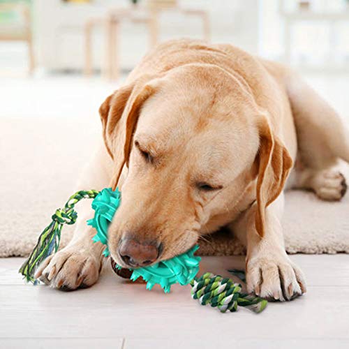 Juguete Molar para Mascotas Multifuncional,Juguete mordedor para Mascotas,Juguete para Perros con Ventosa,Pelota de Limpieza de Juguete Molar para Mascotas (B)