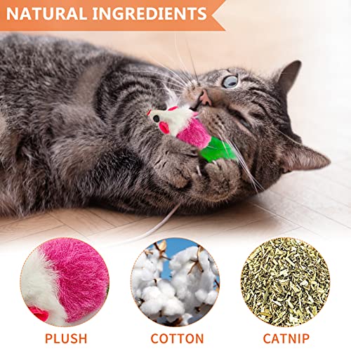 Juguetes con Hierba Gatera,9 Piezas Juguetes para Gatos,Juguete Interactivo para Gatos, Hierba Gatera Juguete del Gato,Juguetes De Menta para Gatos,Juguete para Masticar Gato,Juguetes del Catnip (9)