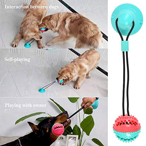 Juguetes para Morder Pelota de Juguete para Perros con Ventosa, Juguete Multifuncional para Perros con Cuerda Elástica, Bolas para Morder, Bolas para Masticar para Perros para Pisos de Madera, Paredes