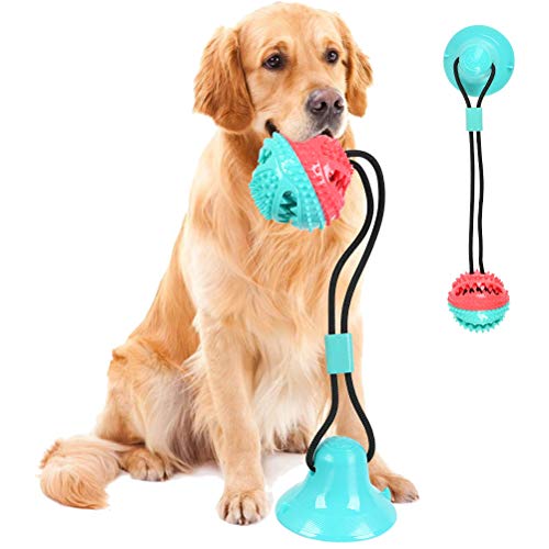 Juguetes para Morder Pelota de Juguete para Perros con Ventosa, Juguete Multifuncional para Perros con Cuerda Elástica, Bolas para Morder, Bolas para Masticar para Perros para Pisos de Madera, Paredes