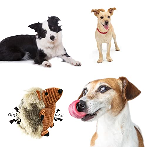 Juguetes para Perros, Juguetes Perro Peluche para Perros Durable Juguetes para Cachorros Pequeños Medianos Perros