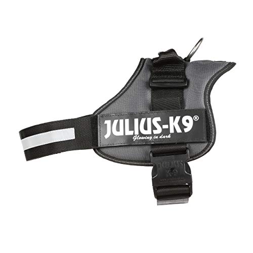 Julius-K9 162ANT-2 - Arnés para Perros, Gris (Gris Antracita), XL/2, 1 unidad