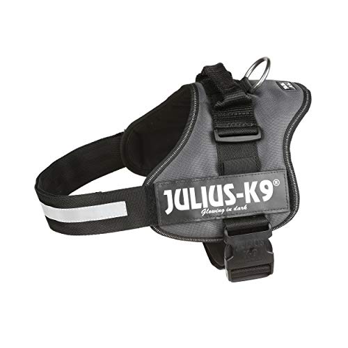 Julius-K9 162ANT-2 - Arnés para Perros, Gris (Gris Antracita), XL/2, 1 unidad