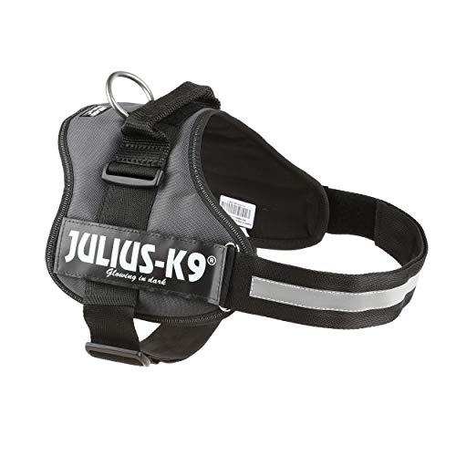 Julius-K9 162ANT-2 - Arnés para Perros, Gris (Gris Antracita), XL/2, 1 unidad