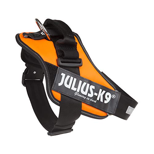 JULIUS-K9 16IDC Power Harness