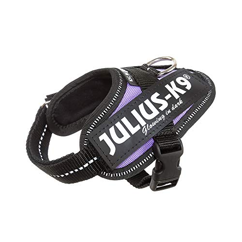 JULIUS-K9 16IDC Power Harness